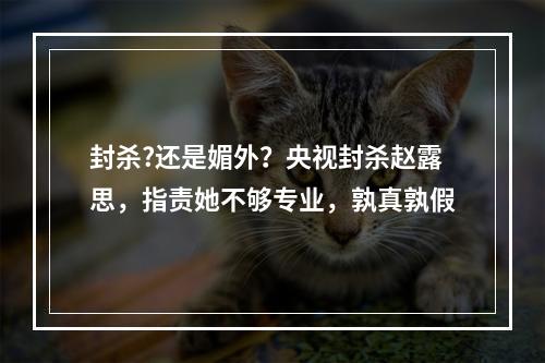 封杀?还是媚外？央视封杀赵露思，指责她不够专业，孰真孰假