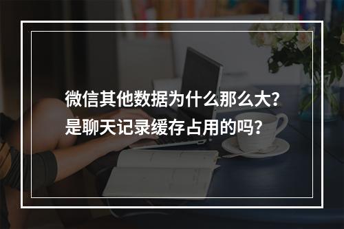 微信其他数据为什么那么大？是聊天记录缓存占用的吗？